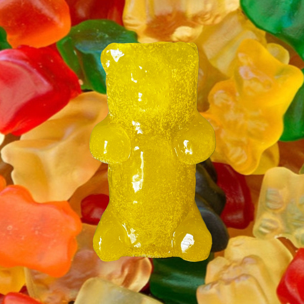 GUMMY BEAR lighter cases