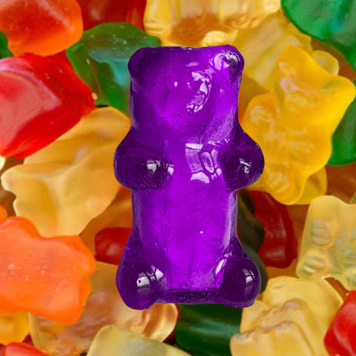 GUMMY BEAR lighter cases