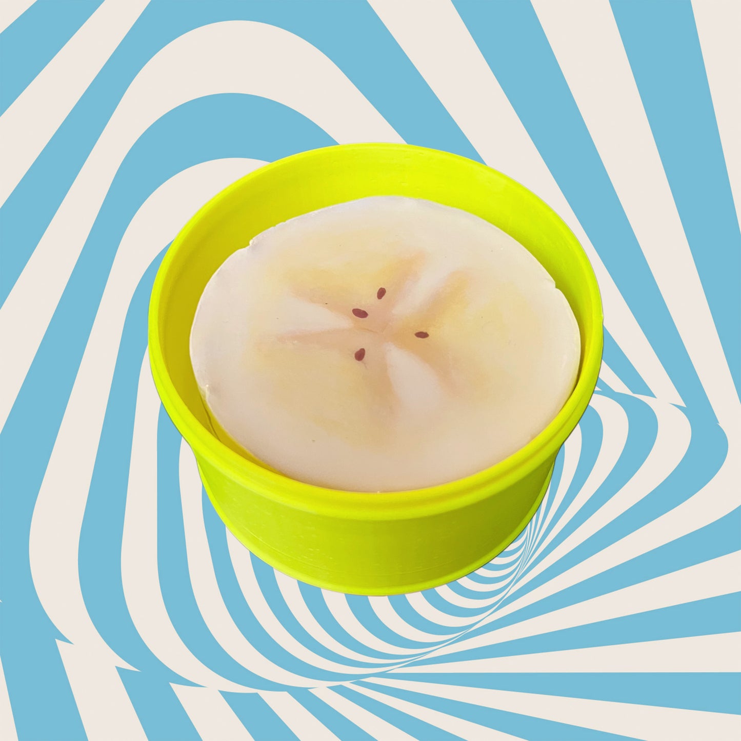 BANANA SLICES coaster set
