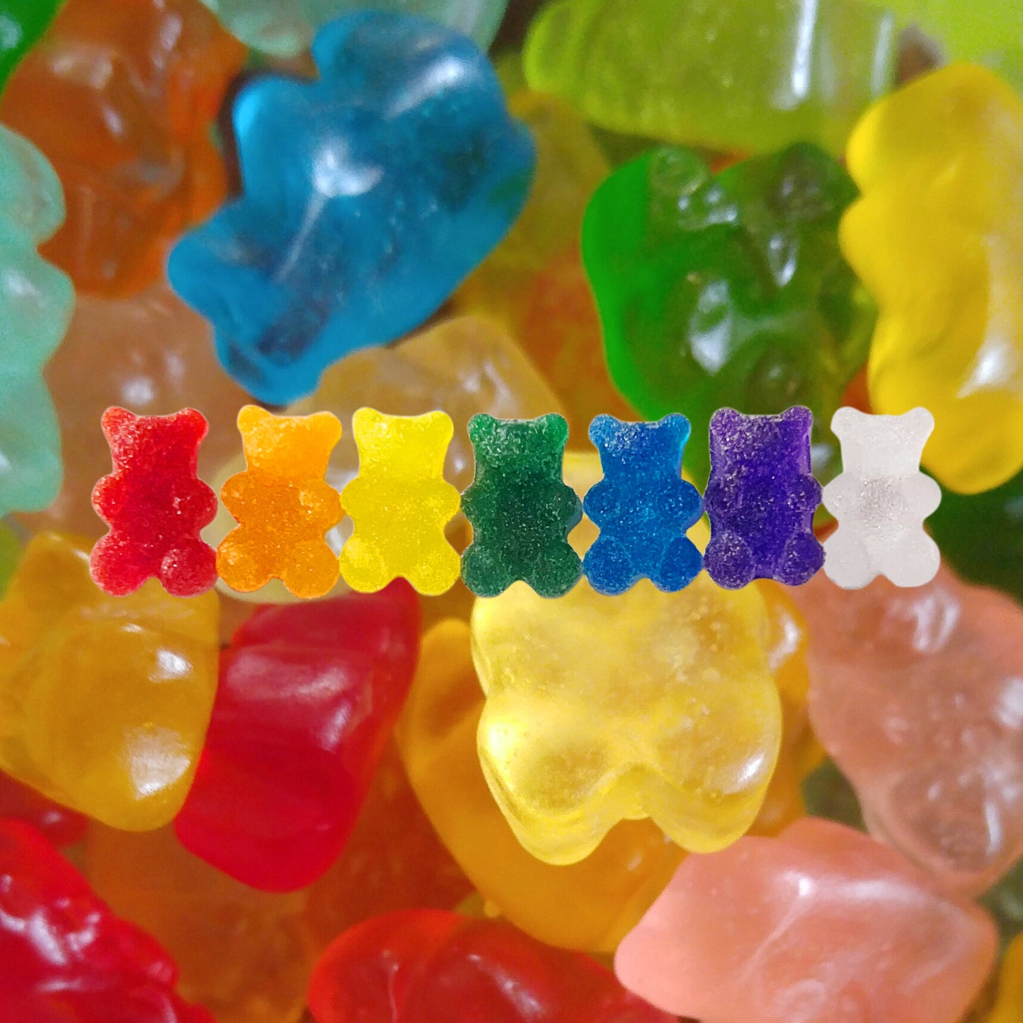 MINI GUMMY BEAR MAGNETS set
