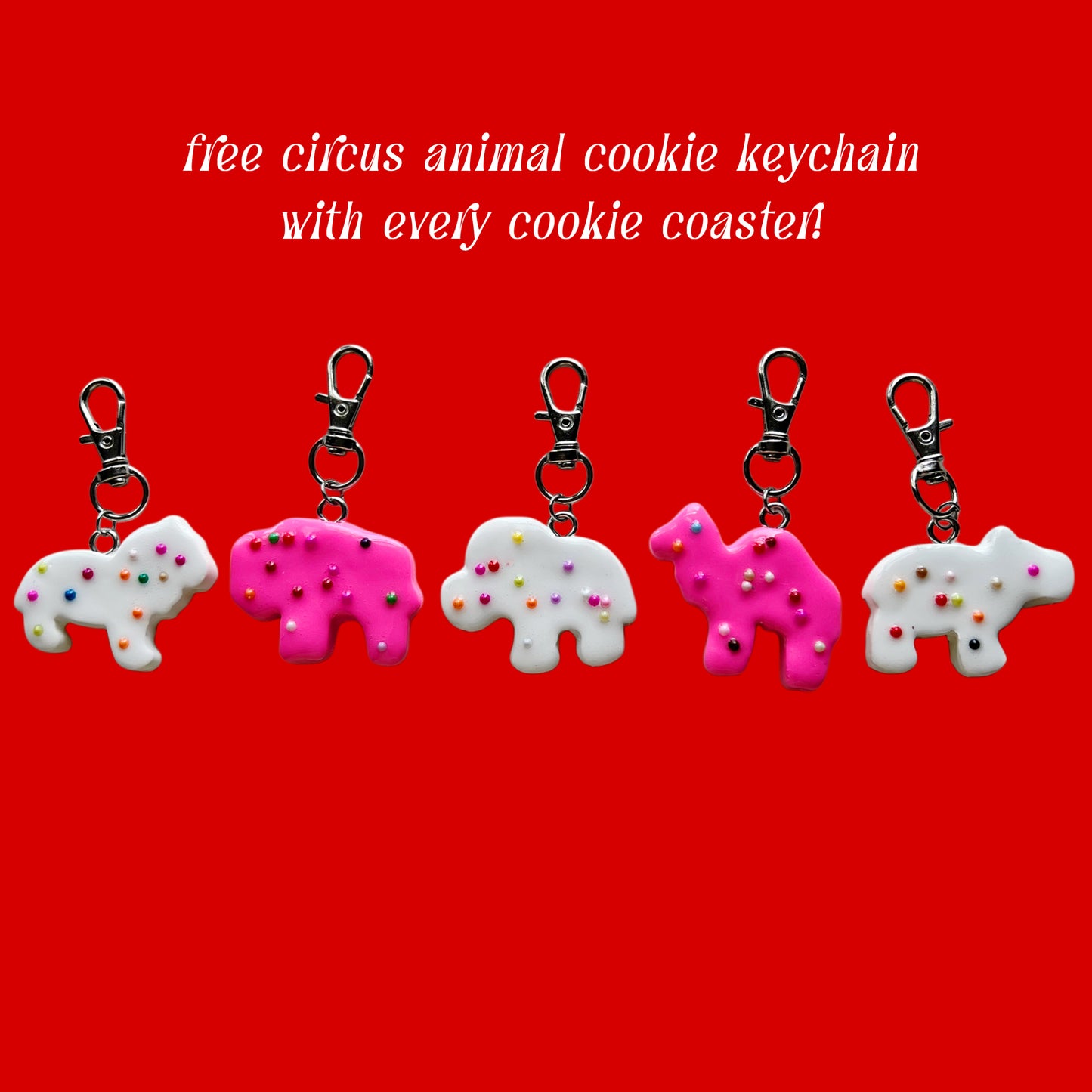 MYSTERY COOKIE COASTER